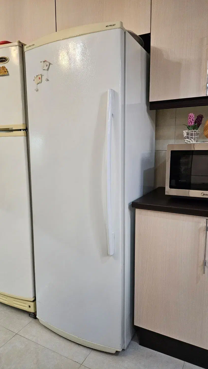 یخچال تمام فریزر الکترو استیل|یخچال و فریزر|صباشهر, |دیوار