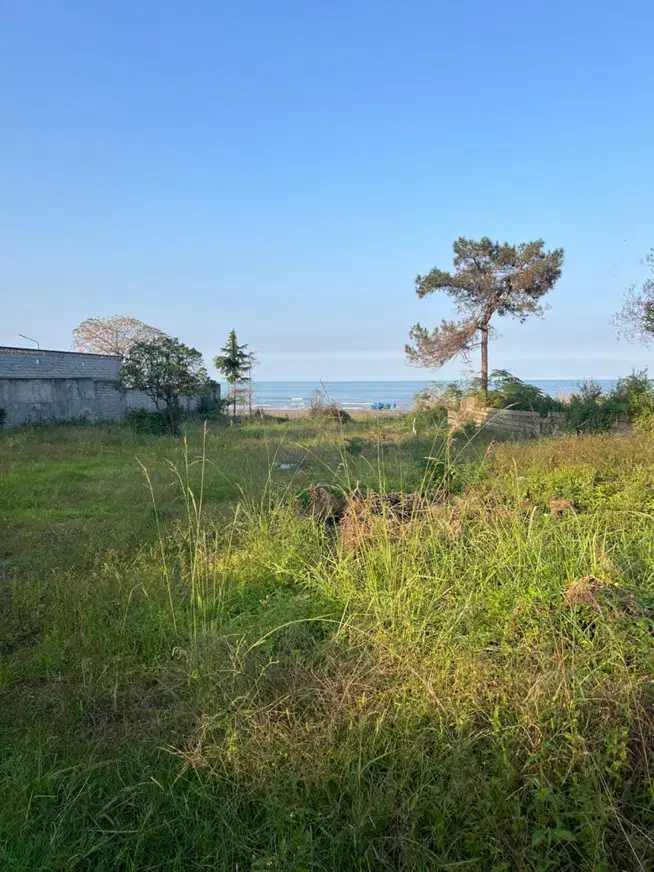 فروش ۲۵۰۰متر زمین ساحلی(جاده به ساحل)|فروش زمین و ملک کلنگی|نشتارود, |دیوار