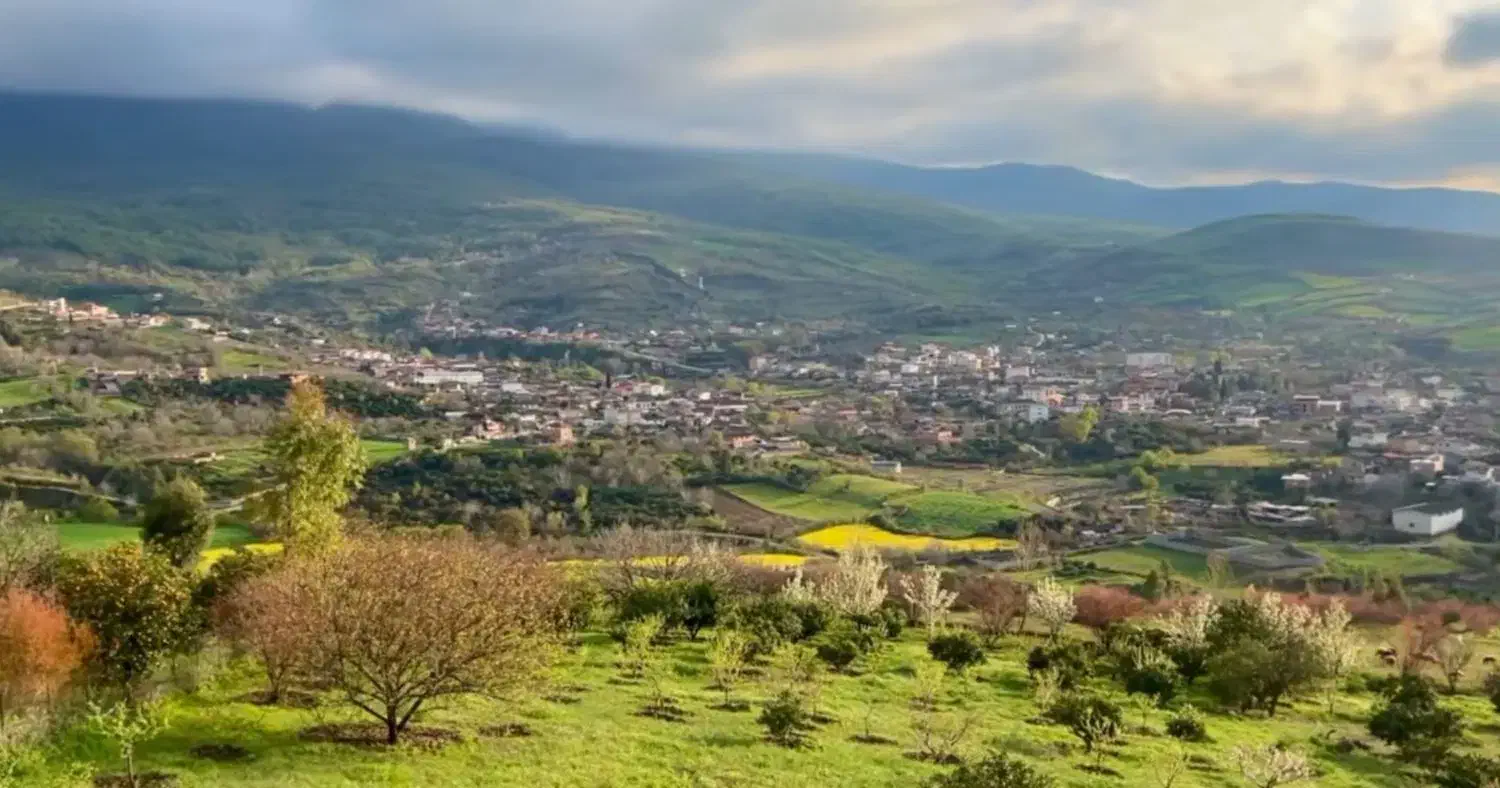 فرصتی مناسب برای سرمایه گذاری( زمین باغی بهشهر)|فروش زمین و ملک کلنگی|بهشهر, |دیوار