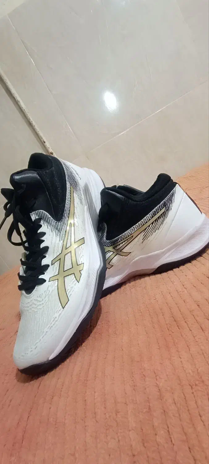 کفش والیبال ارجینال|ورزشهای توپی|تربتحیدریه, رضاشهر|دیوار