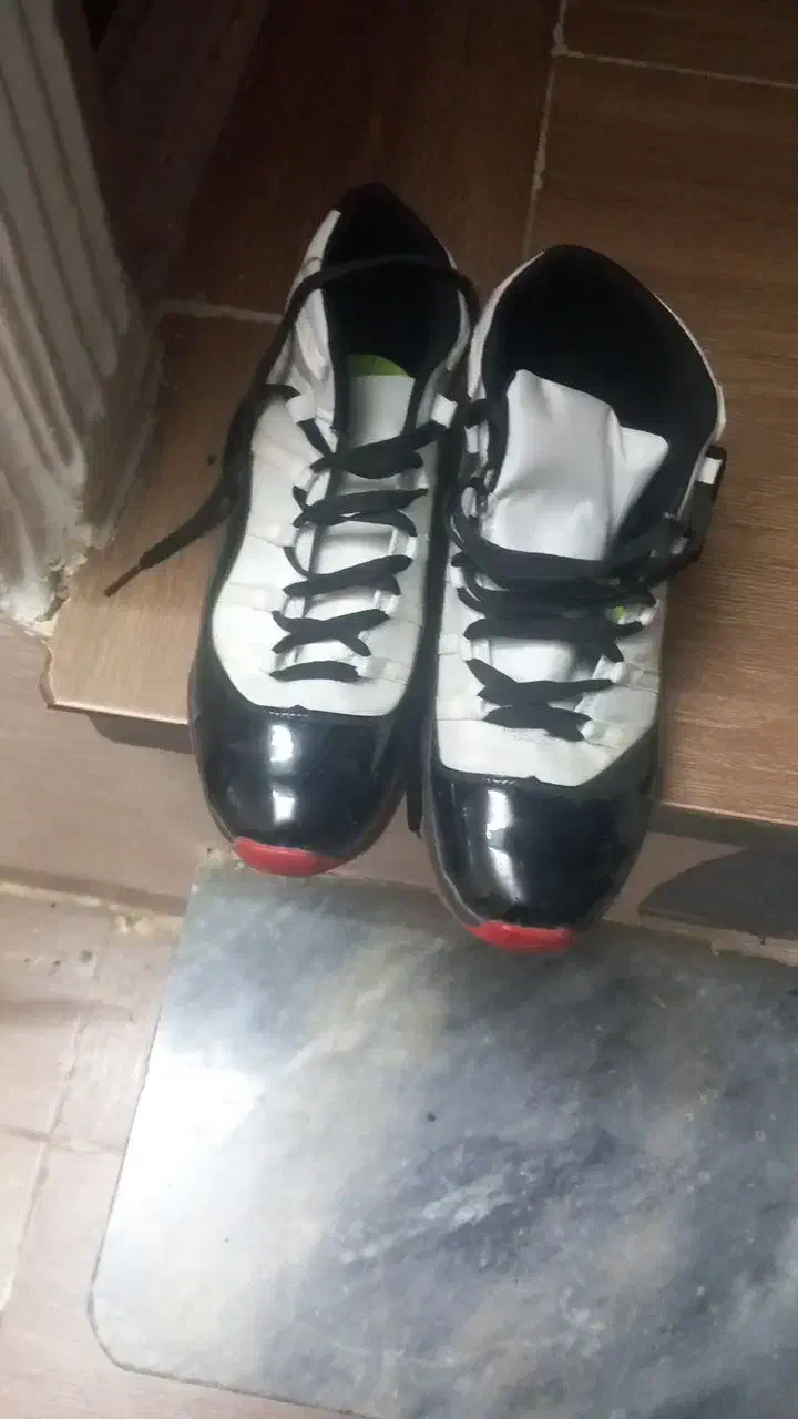 کفش|کیف، کفش، کمربند|گرگان, |دیوار