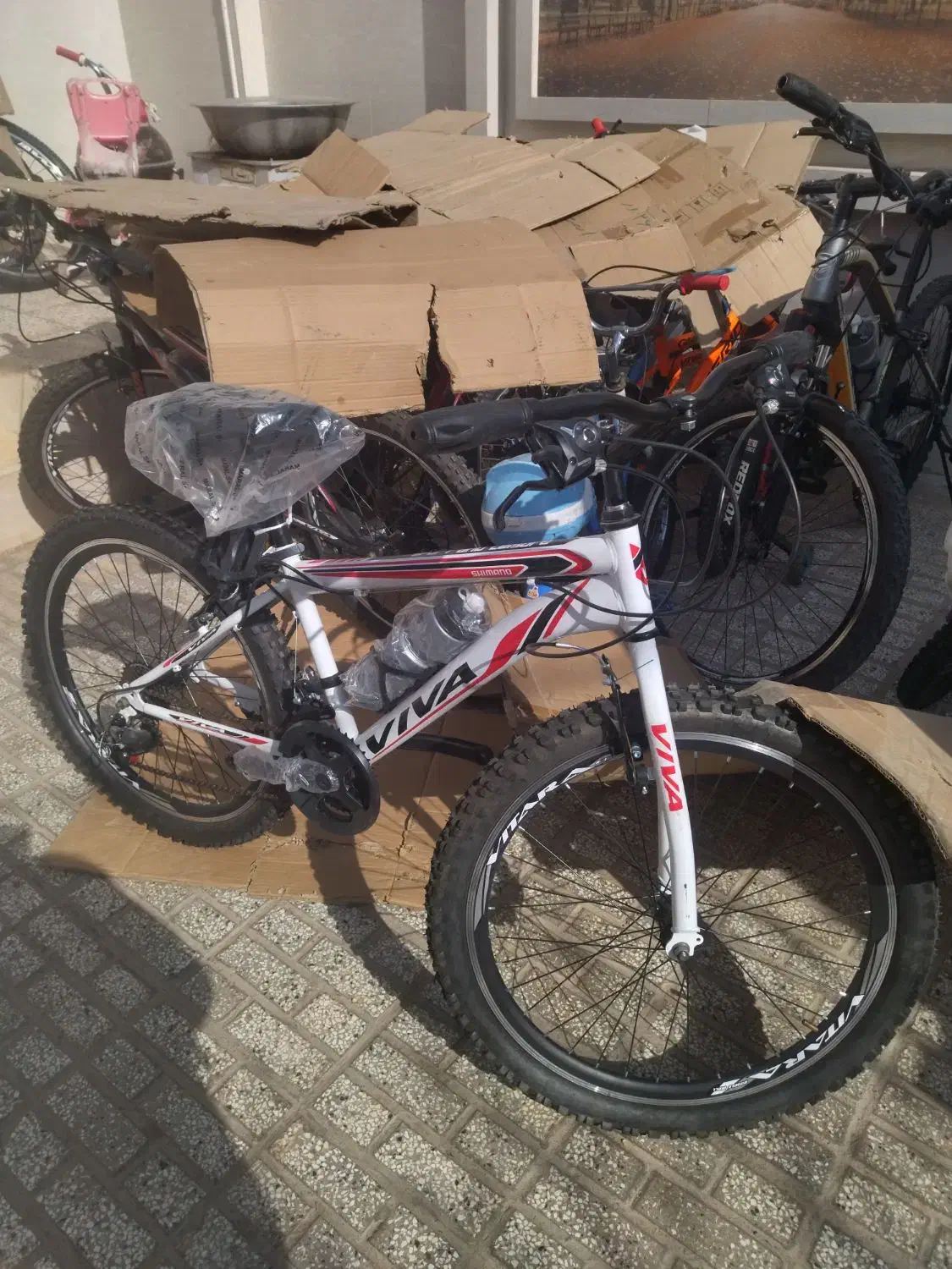 دوچرخه دنده ای آکبند و صفر|دوچرخه، اسکیت، اسکوتر|تربت‌حیدریه, منظر|دیوار