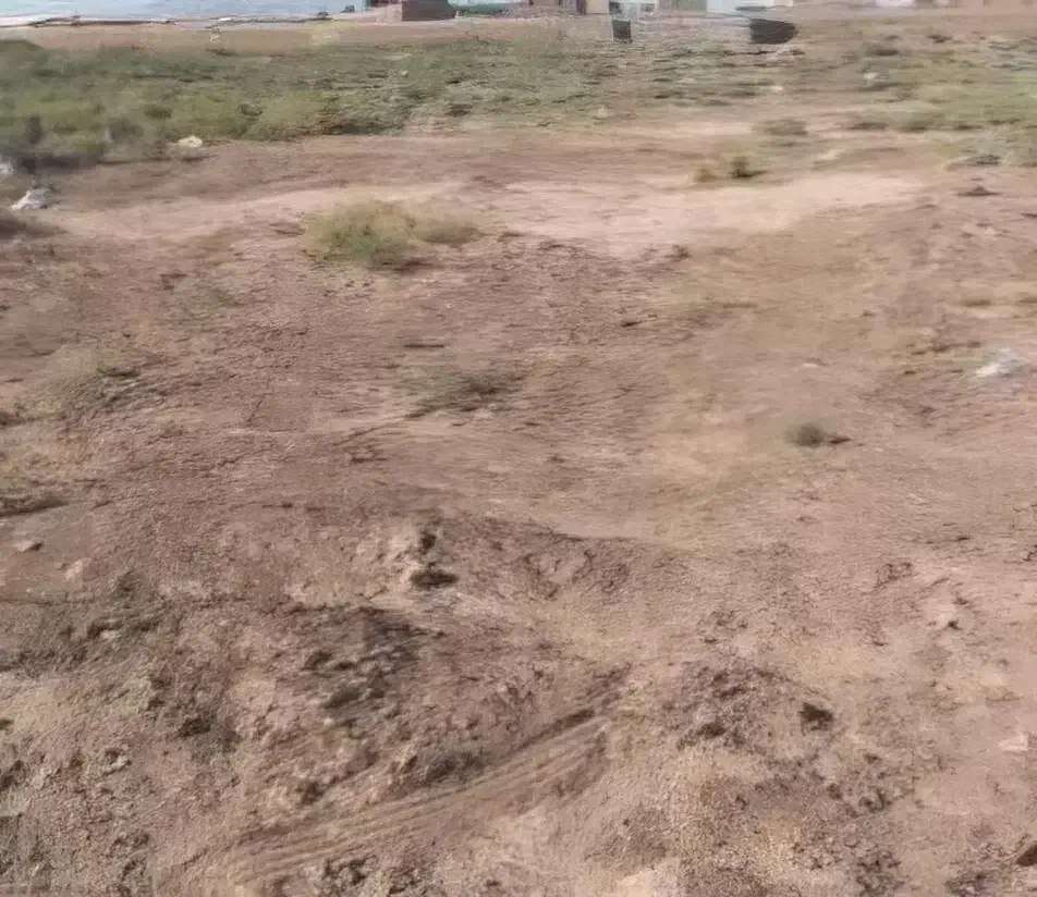 زمین خالی کمربندی ملکان|فروش زمین و ملک کلنگی|ملکان, |دیوار