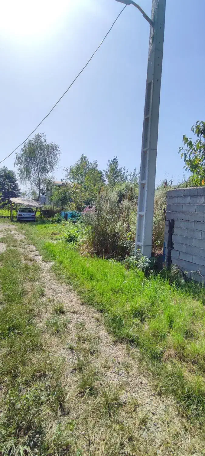 250 متر زمین مناسب ساخت زیر قیمت|فروش زمین و ملک کلنگی|املش, |دیوار