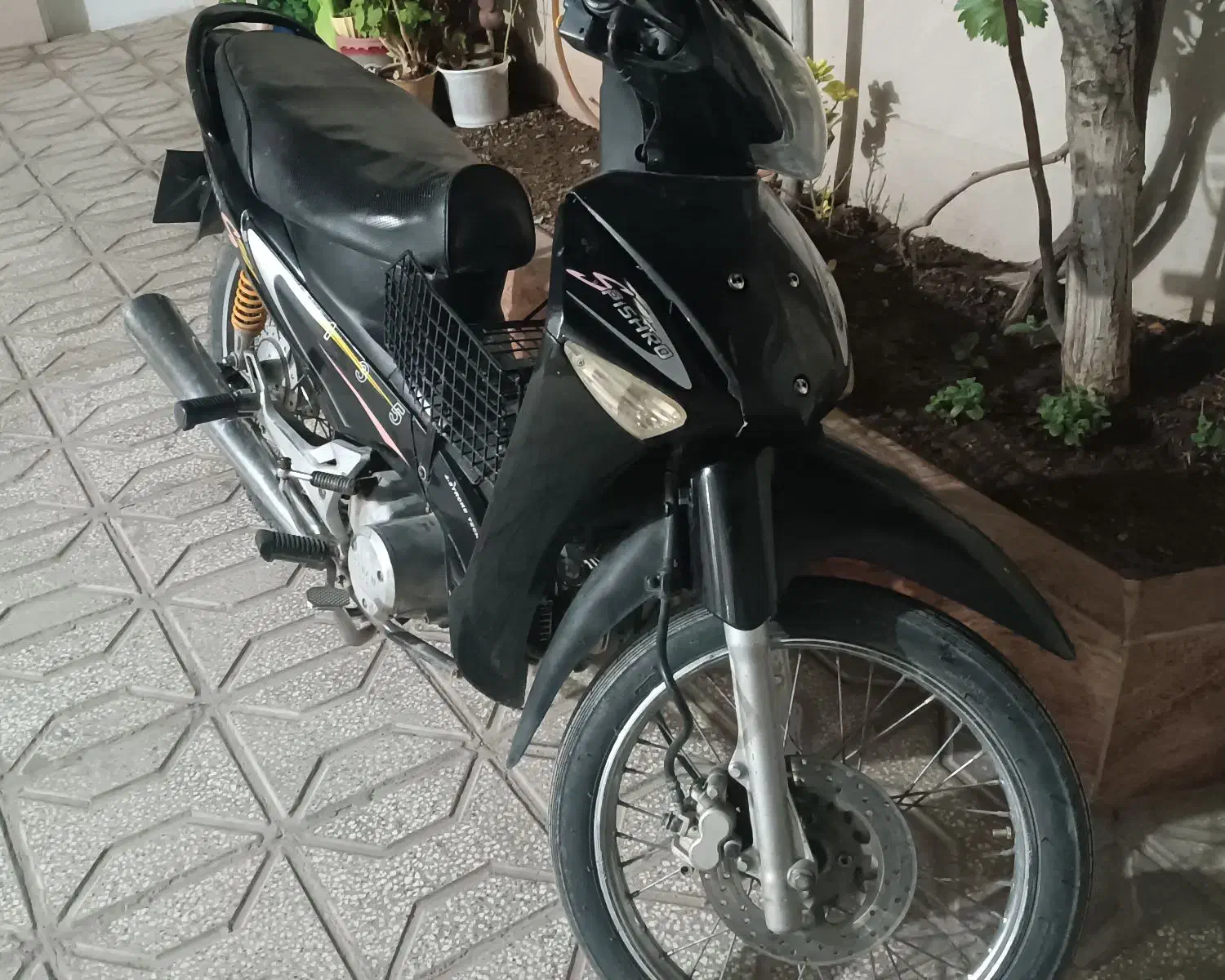 پیشرو 88|موتورسیکلت|تربت‌حیدریه, قائم|دیوار