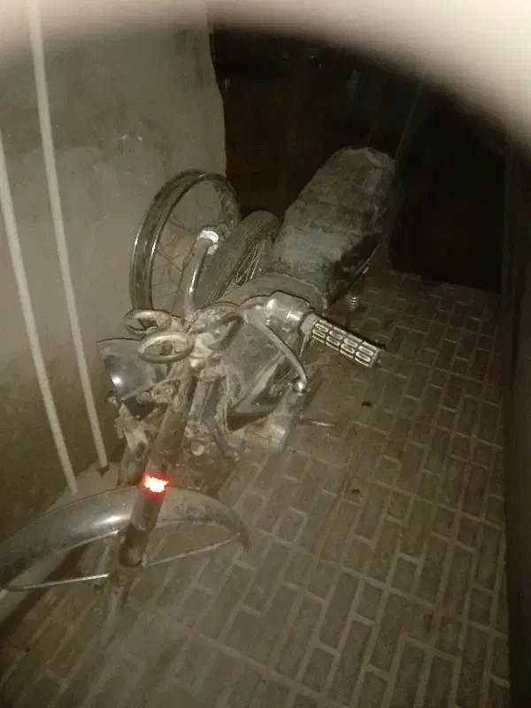 موتور معامله گوسفند|موتورسیکلت|بم, |دیوار