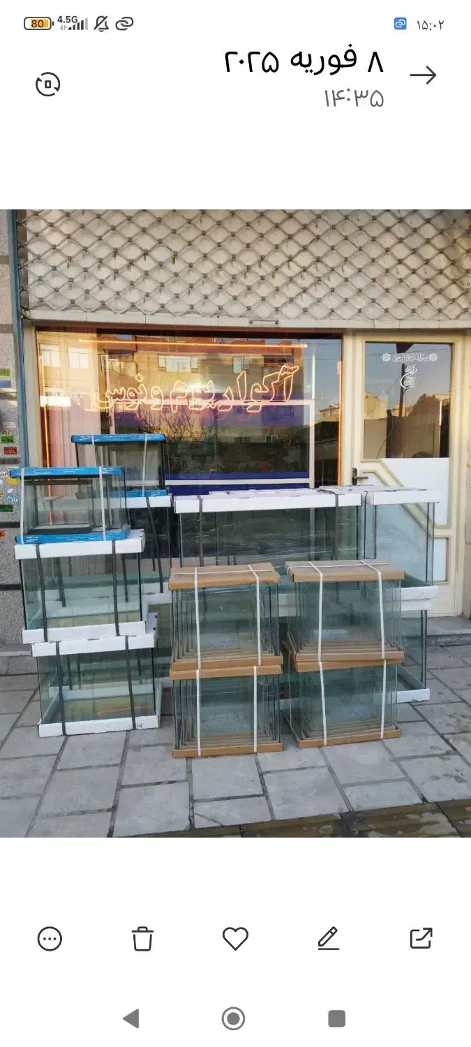 بارجدیدماهی ولوازم درآکواریوم ونوس رسید|ماهی|زنجان, |دیوار