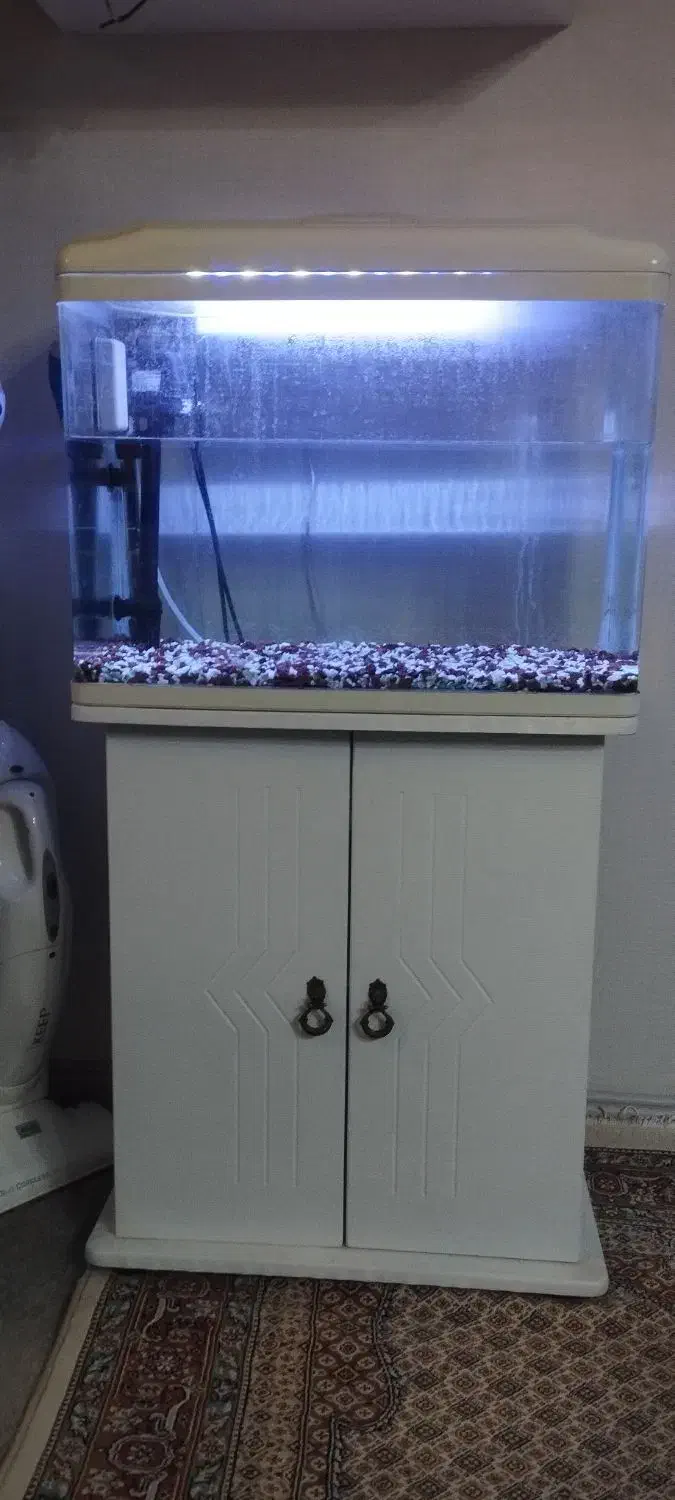 آکواریوم|ماهی|گلپایگان, |دیوار