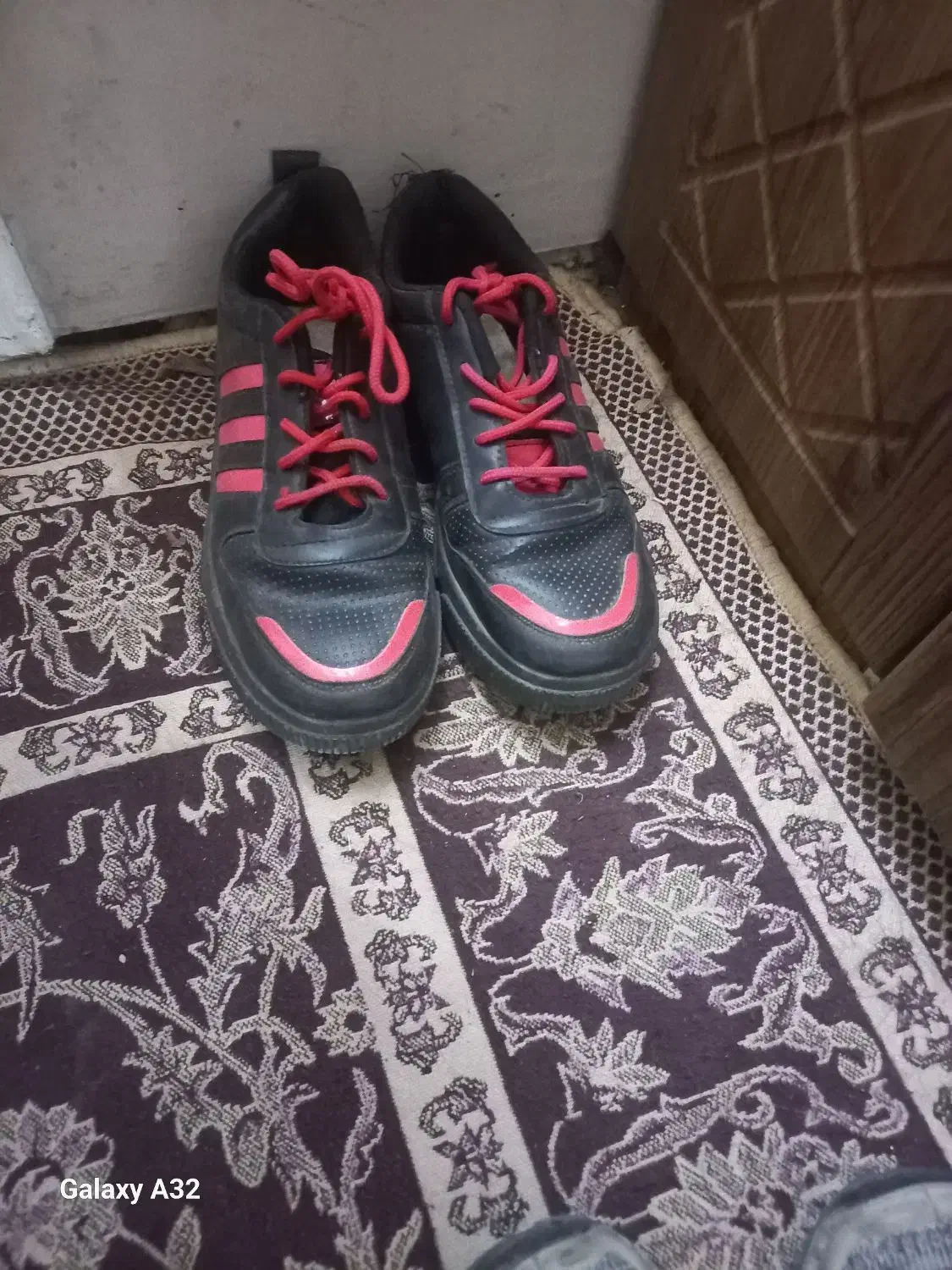 کفش|کیف، کفش، کمربند|گنبد کاووس, |دیوار