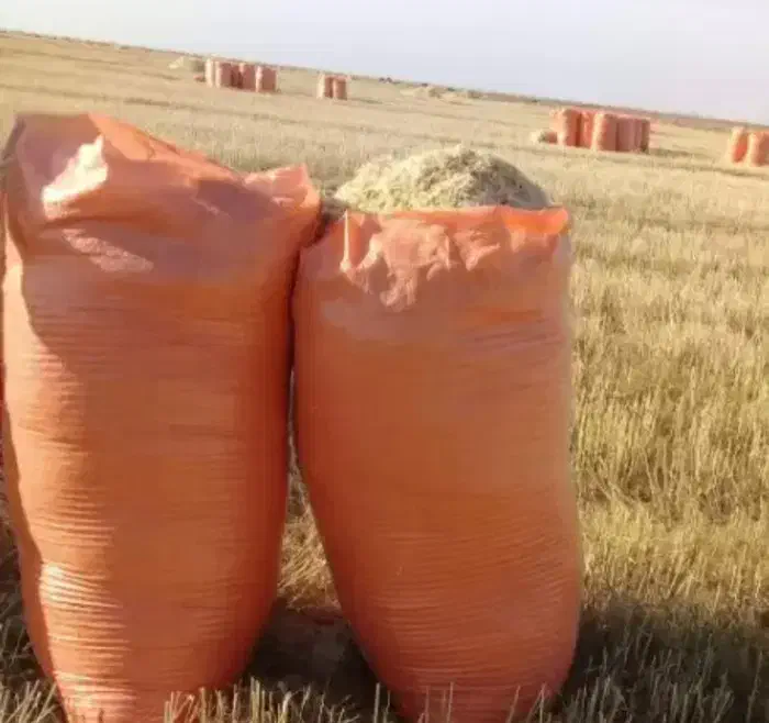 بهترین کاه برا گوسفند|لوازم جانبی حیوانات|درمیان, |دیوار