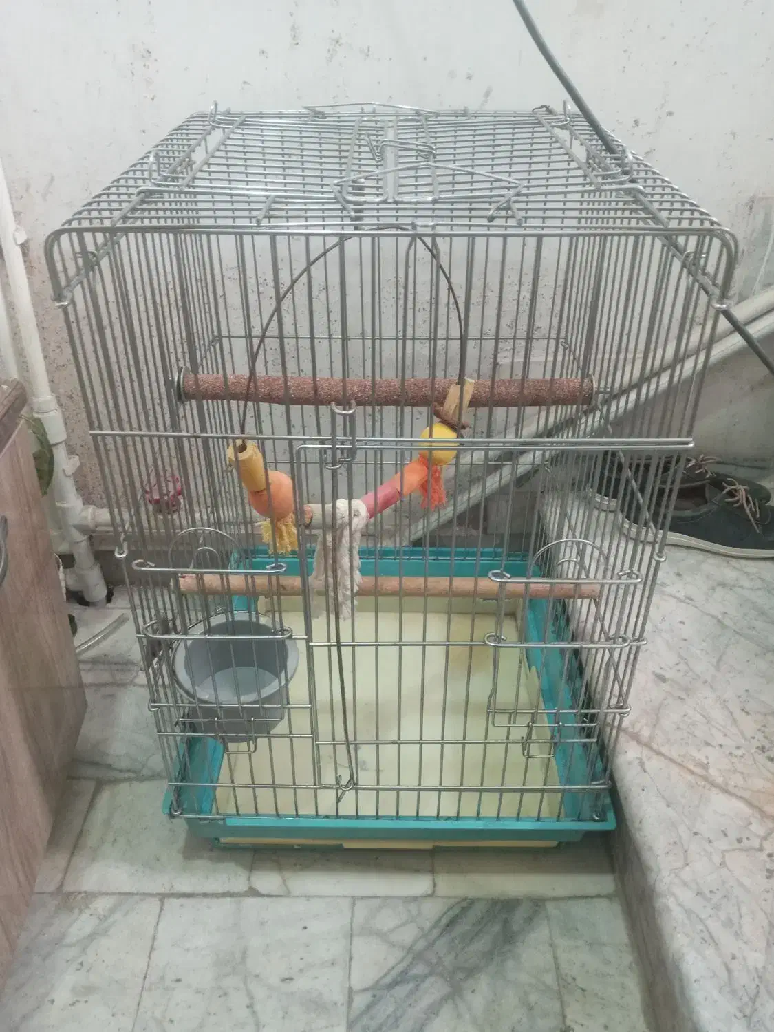 قفس انواع پرنده|لوازم جانبی حیوانات|کرج, مرکز تحقیقات البرز|دیوار
