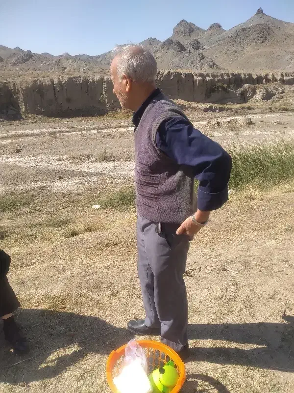 آنغوزه|خدمات باغبانی و درختکاری|تربت جام, شهید غلام زاده|دیوار