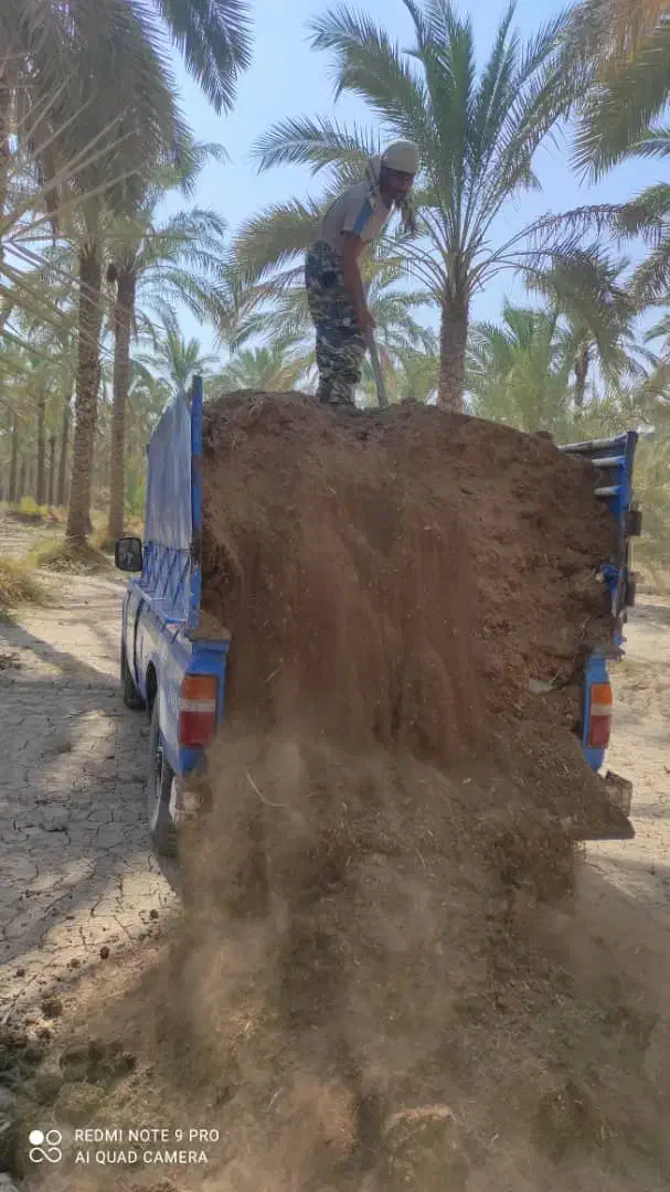 کود حیوانی آبپخش وحومه|خدمات باغبانی و درختکاری|آبپخش, |دیوار