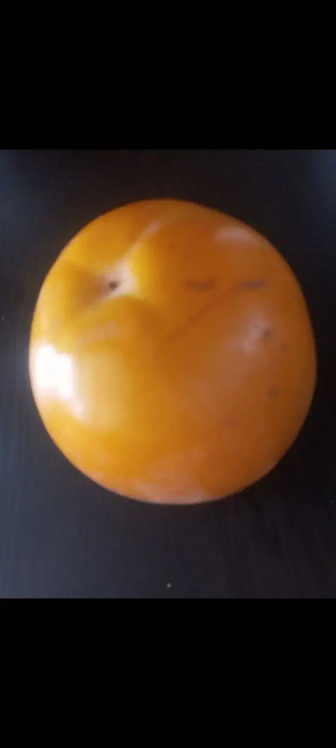 خرمالو ژاپنی|خوردنی و آشامیدنی|آذرشهر, |دیوار