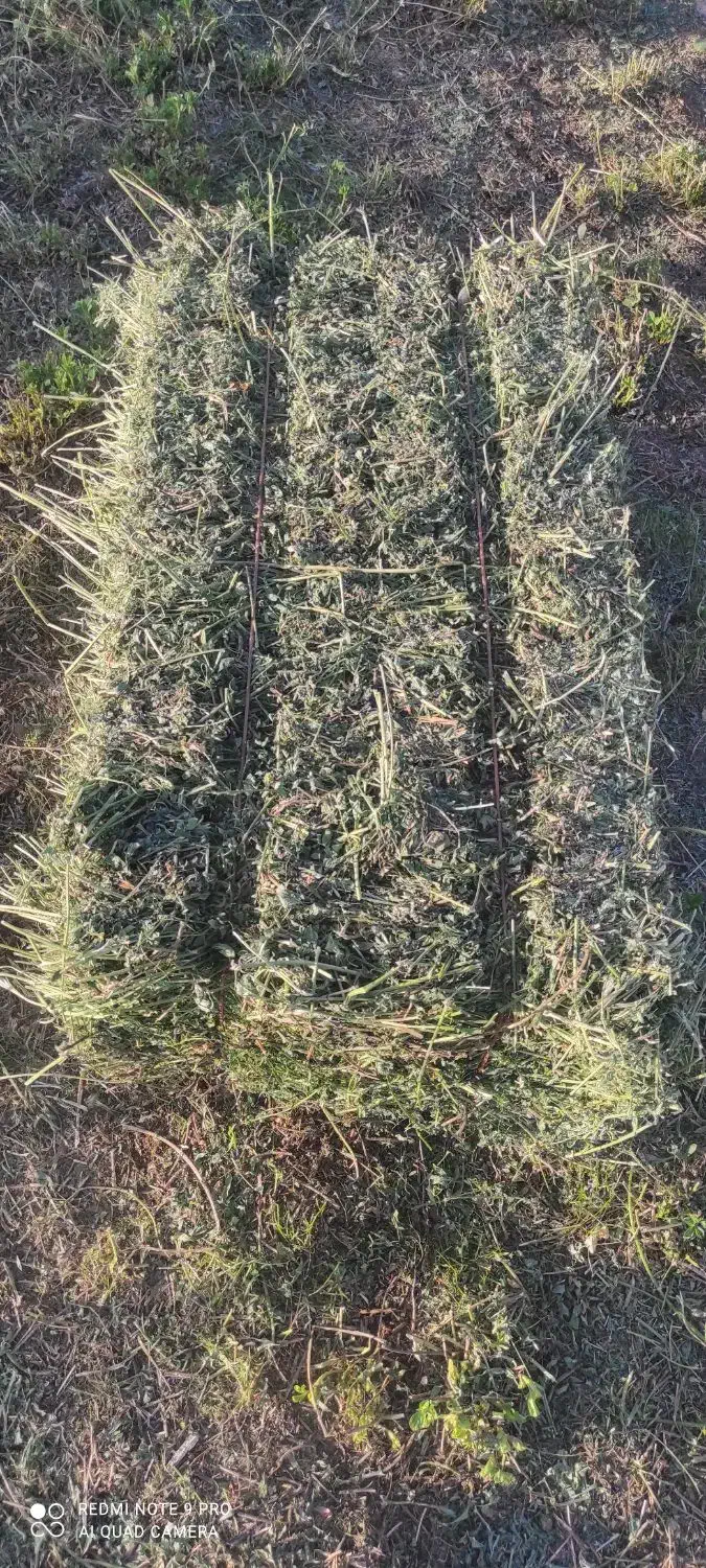 یونجه|لوازم جانبی حیوانات|خرم‌آباد, |دیوار