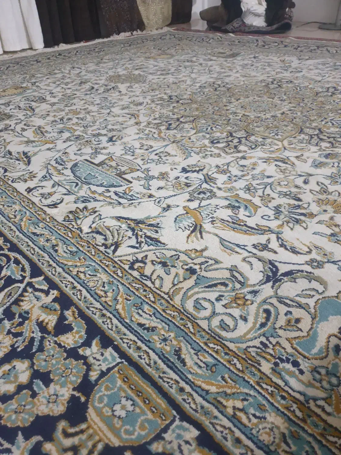 یک تخته فرش ۹متری ماشینی|فرش|بومهن, |دیوار