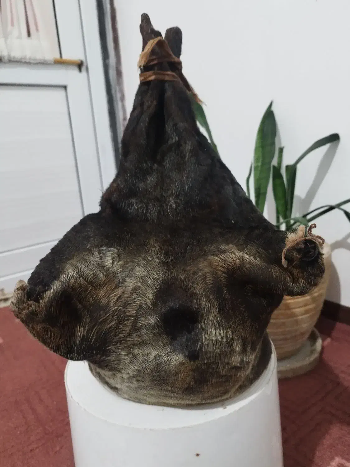 هیزه|ظروف نگهدارنده، پلاستیکی، یک‌بارمصرف|ایلام, |دیوار