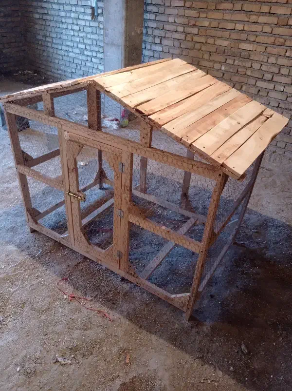 قفس چوبی بزرگ|حیوانات مزرعه|ملایر, |دیوار