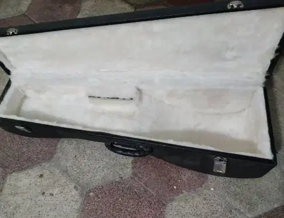 کیف تار|سازهای سنتی|مشهد, تربیت (صدف)|دیوار