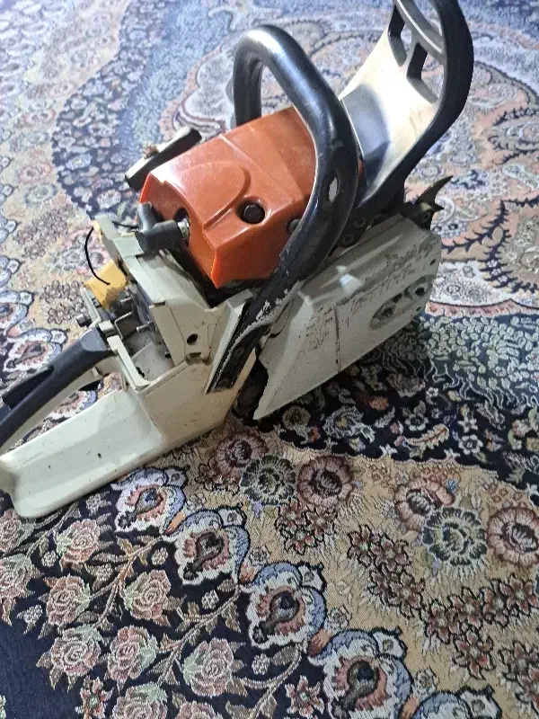 رویا گردان|خدمات باغبانی و درختکاری|میناب, |دیوار