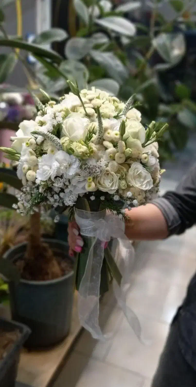 اجاره ماشین عروس|خودرو اجاره‌ای|دزفول, |دیوار