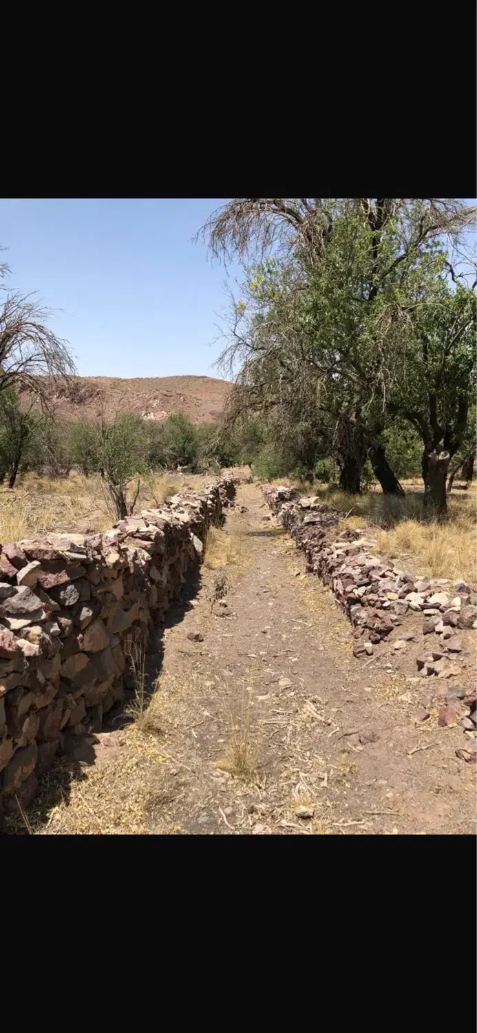 ۶هکتار باغ. سند تک برگ. اکوسیستم بکر و منحصر بفرد.|فروش زمین و ملک کلنگی|نائین, |دیوار