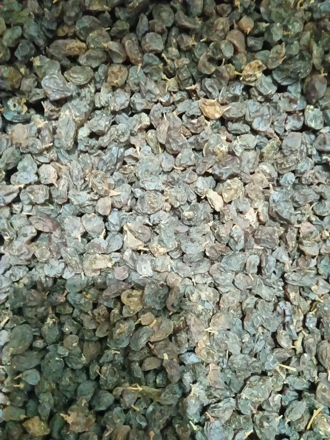 کشمش|خوردنی و آشامیدنی|زرقان, |دیوار