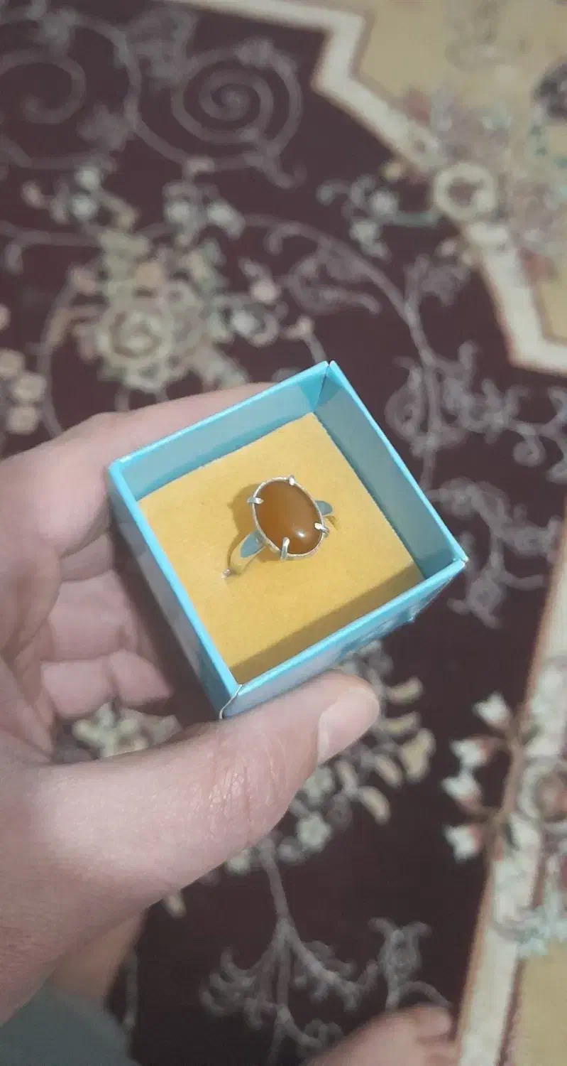 اشیا عتیقه|کلکسیون اشیاء عتیقه|برازجان, |دیوار