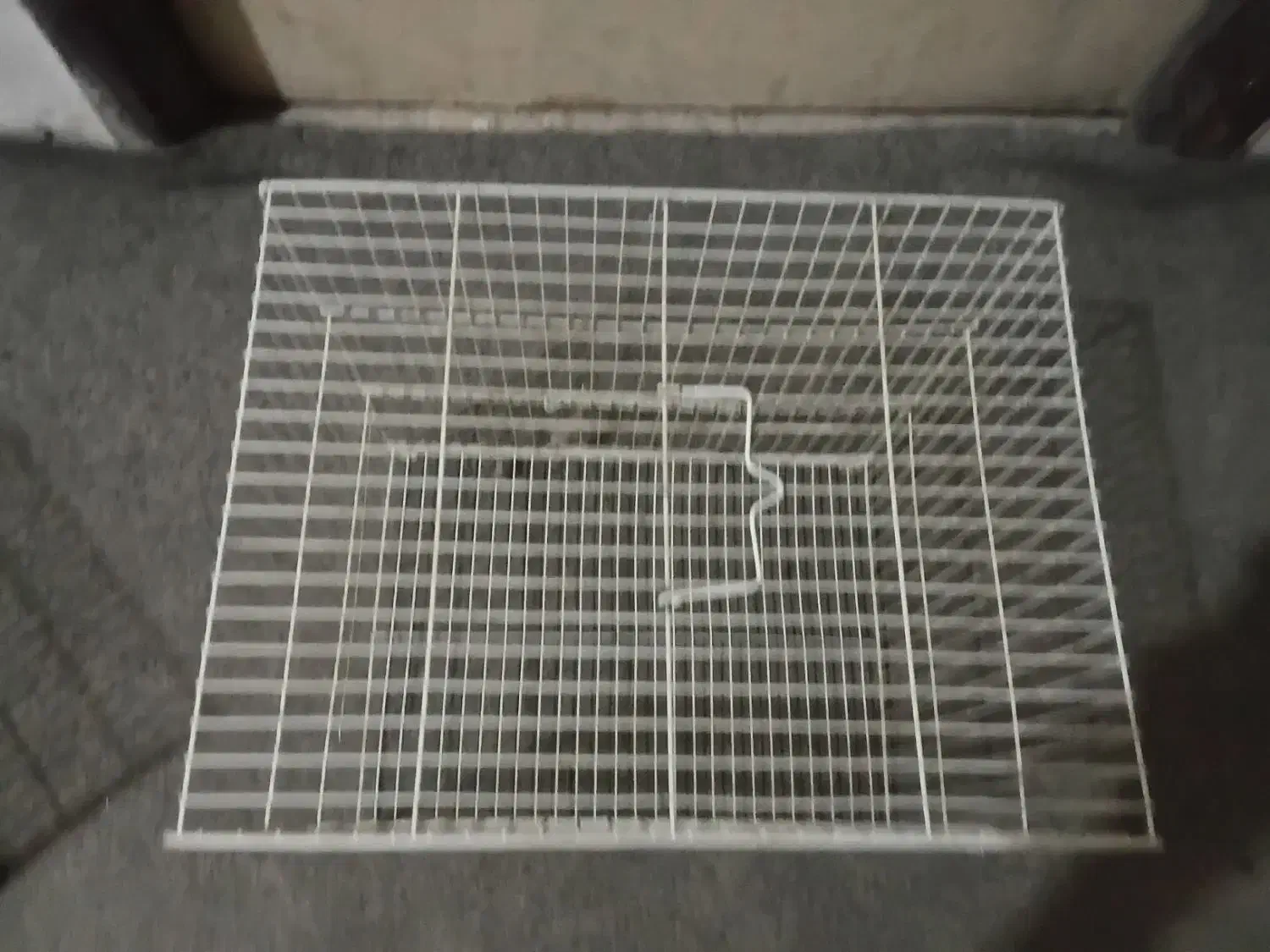 قفس پرنده|لوازم جانبی حیوانات|مشهد, کارمندان دوم|دیوار