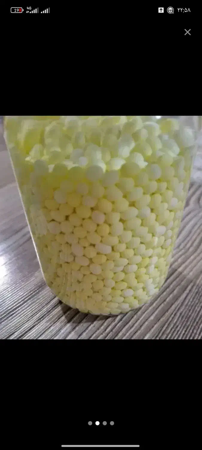 خاویار|خزنده|گلبهار, شهر جدید گلبهار|دیوار