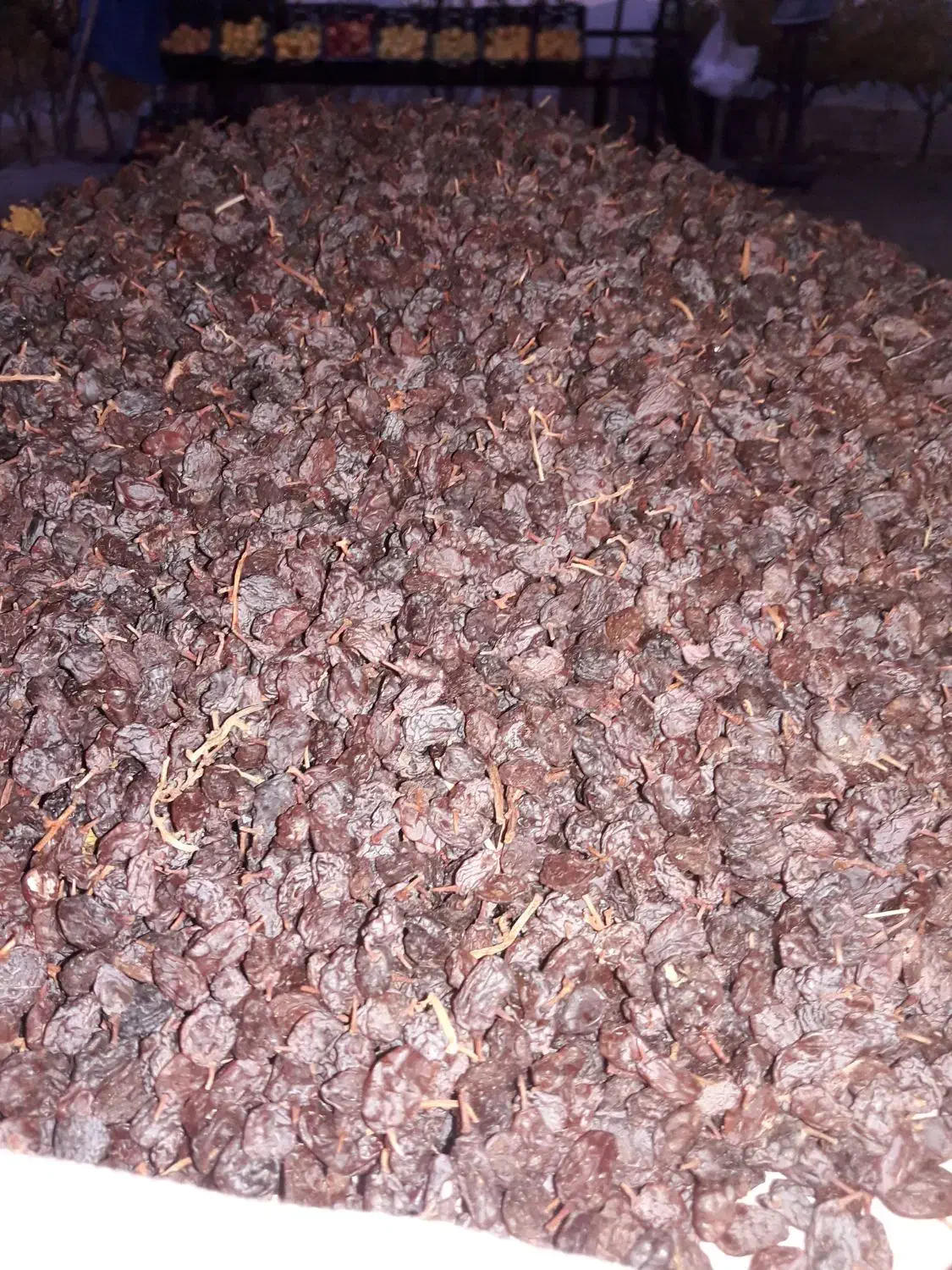 قیصی زردآلوکشمش شیره انگور دوشاب|خوردنی و آشامیدنی|مشگین شهر, |دیوار