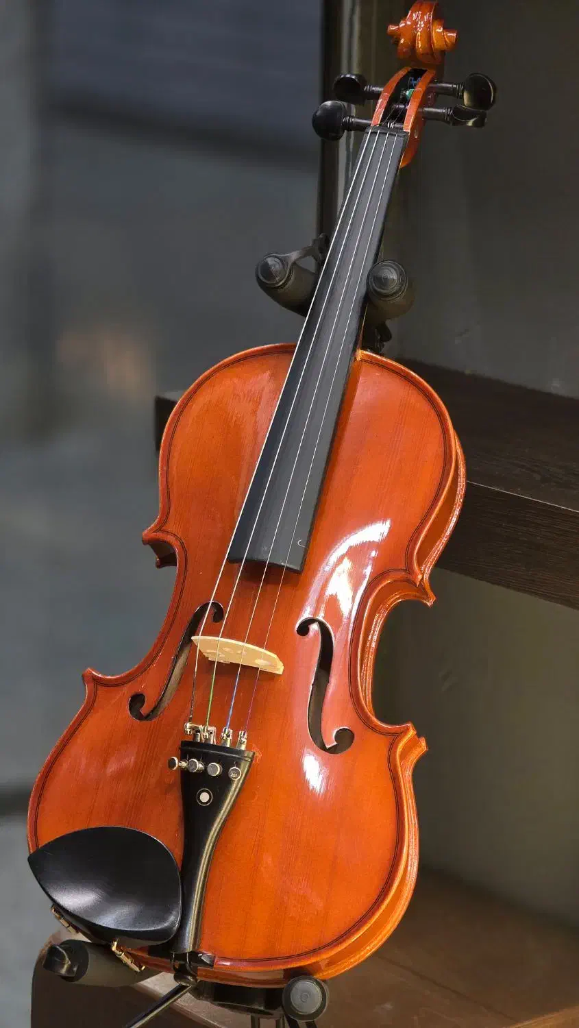 ویولن ریچارد بونل مدل RB101 سایز 4/4 با ضمانت|ویولن|پردیس, فاز ۲|دیوار