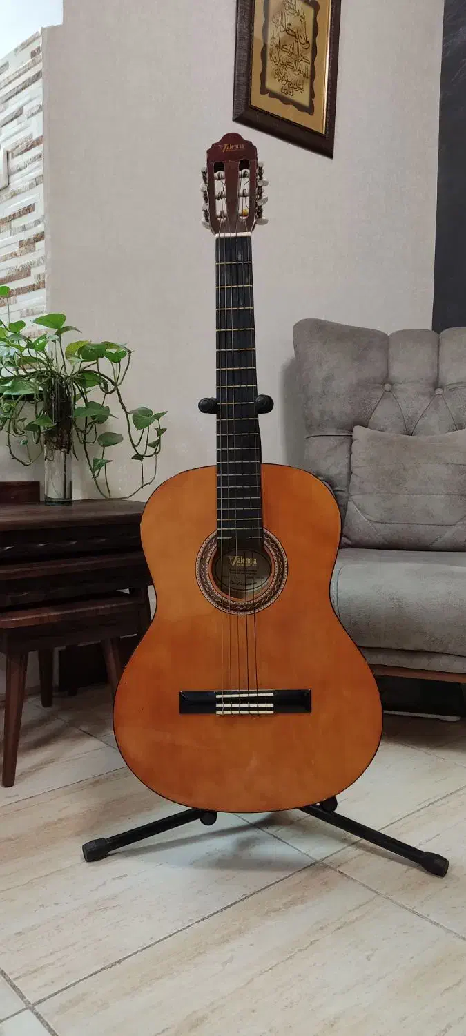 گیتار|گیتار، بیس، امپلیفایر|رشت, کوی مهر|دیوار