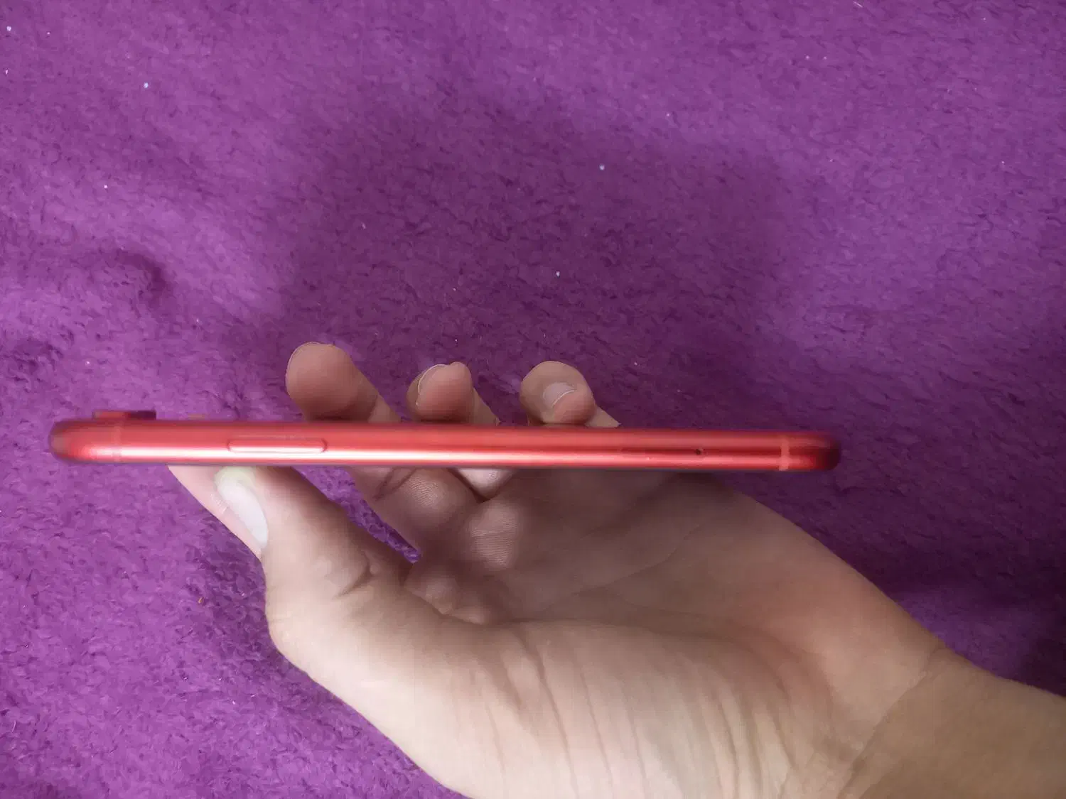 اپل iPhone XR با حافظهٔ ۶۴ گیگابایت|موبایل|تهران, اسکندری|دیوار