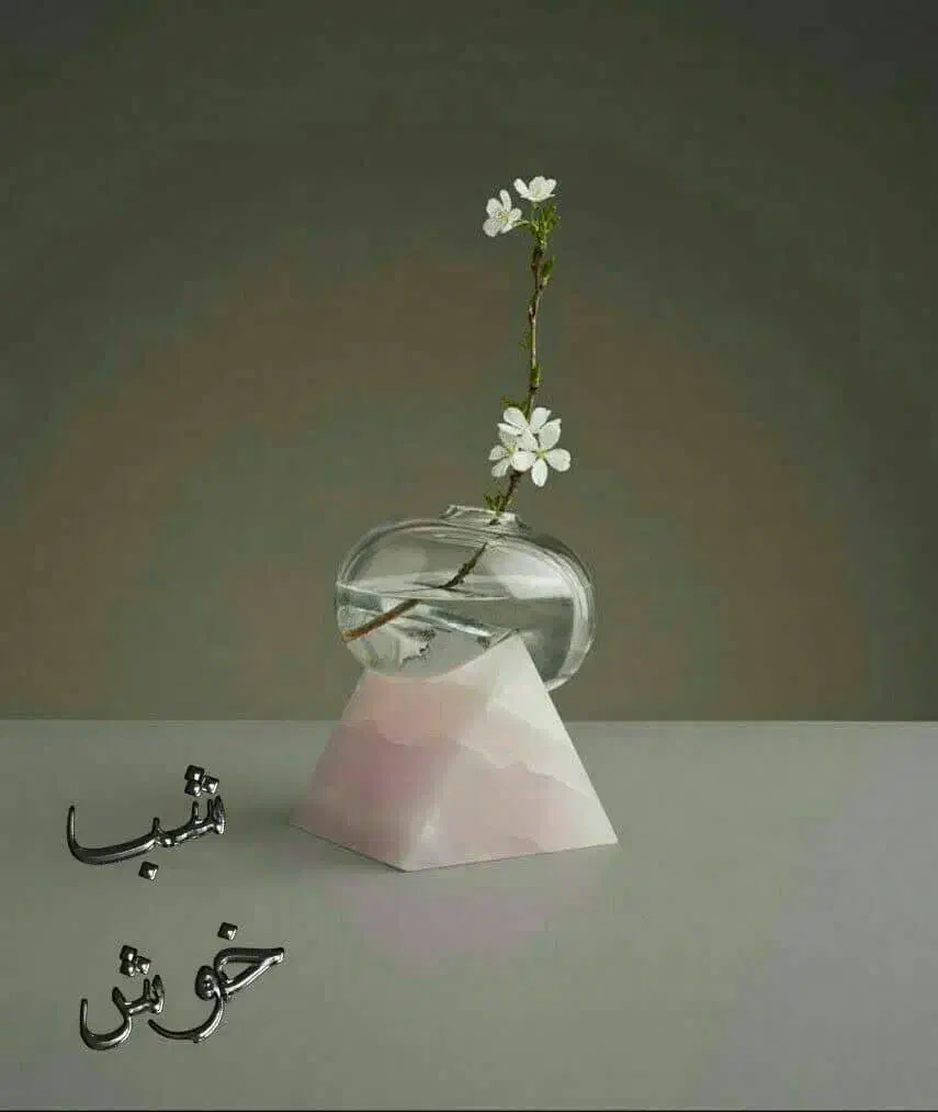 راهنمایی|فعالیت داوطلبانه|شیراز, دشت چنار|دیوار