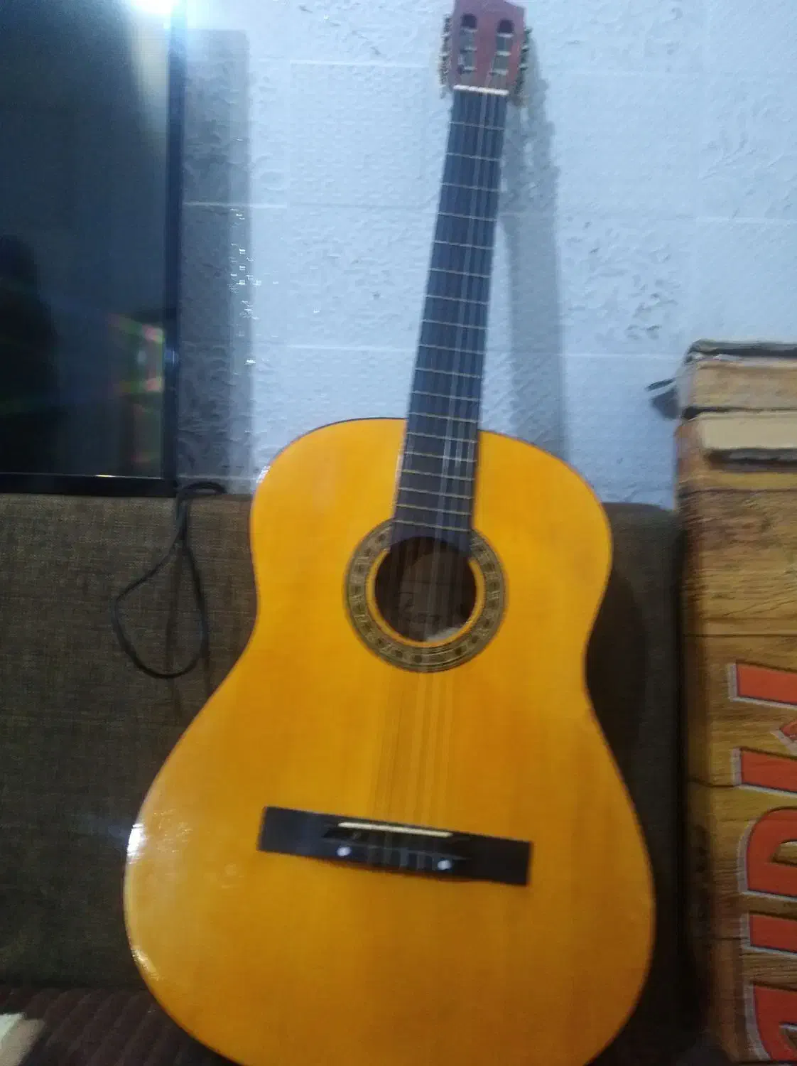 گیتار نو و سالم|گیتار، بیس، امپلیفایر|مشهد, مقدم|دیوار