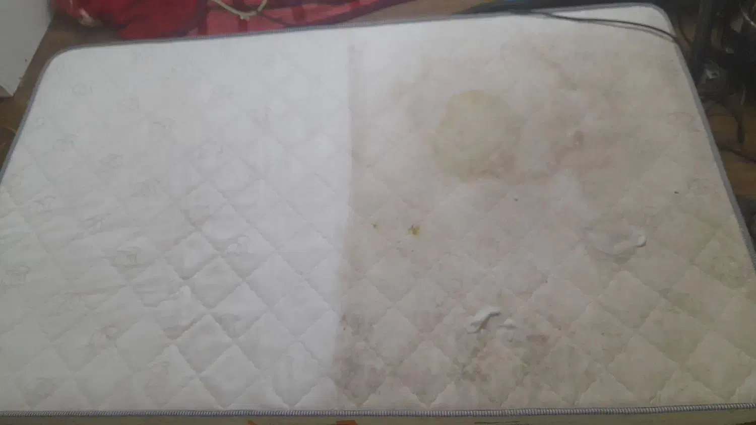 خدمات مبلشویی و موکت شویی ایدل|خدمات نظافت|تهران, عباس‌آباد|دیوار