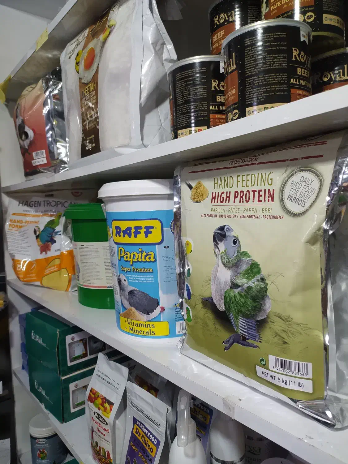 سرلاک مخصوص پرندگان زینتی|پرنده|تبریز, |دیوار