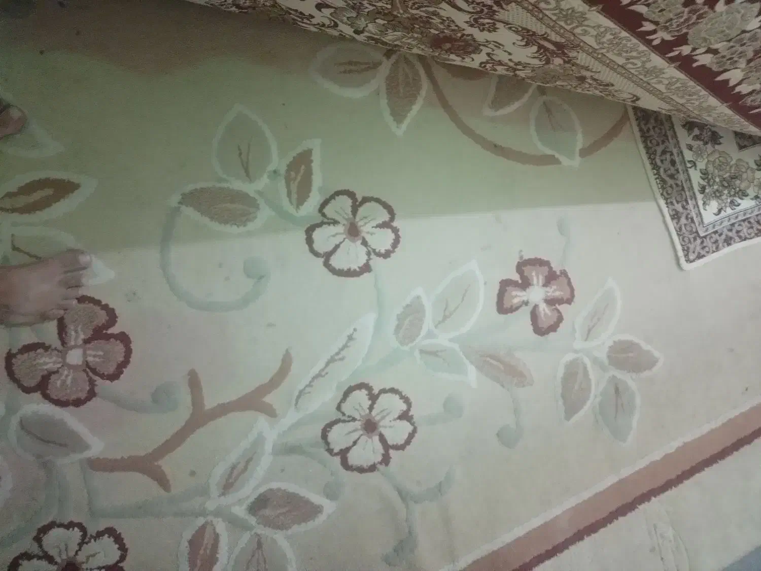 یک عدد قالچه استفاده نشده|فرش|بندرعباس, |دیوار