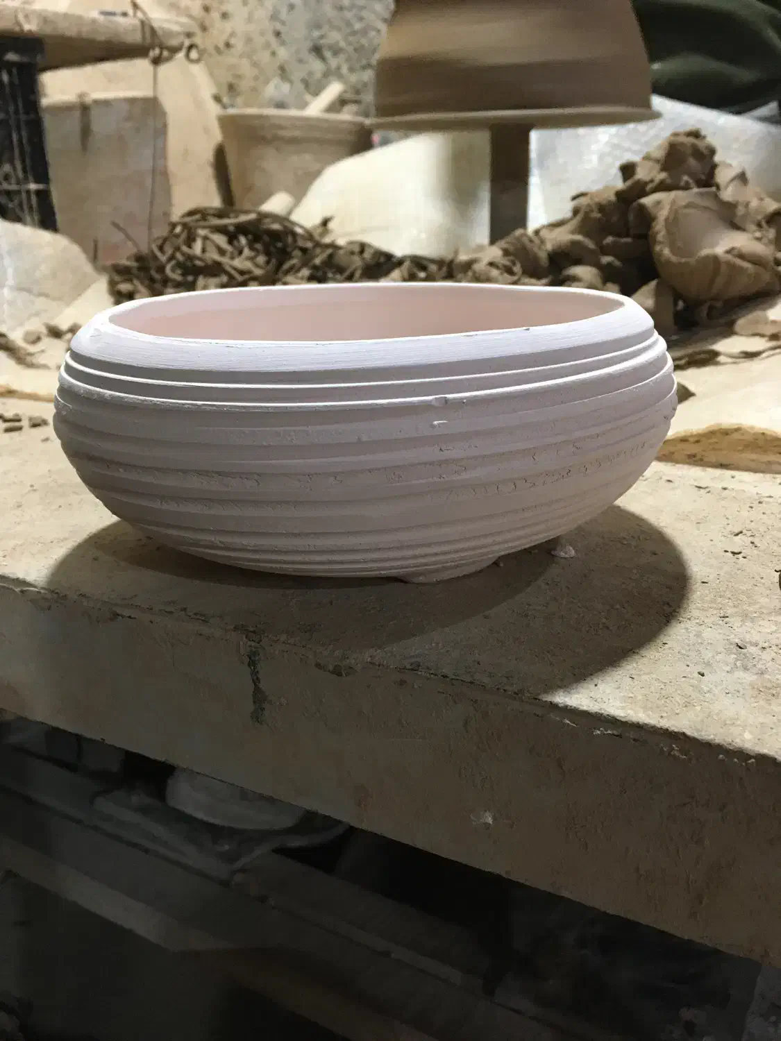 ثبت پیش سفارش سبزه عید|گل و گیاه طبیعی|کردکوی, |دیوار