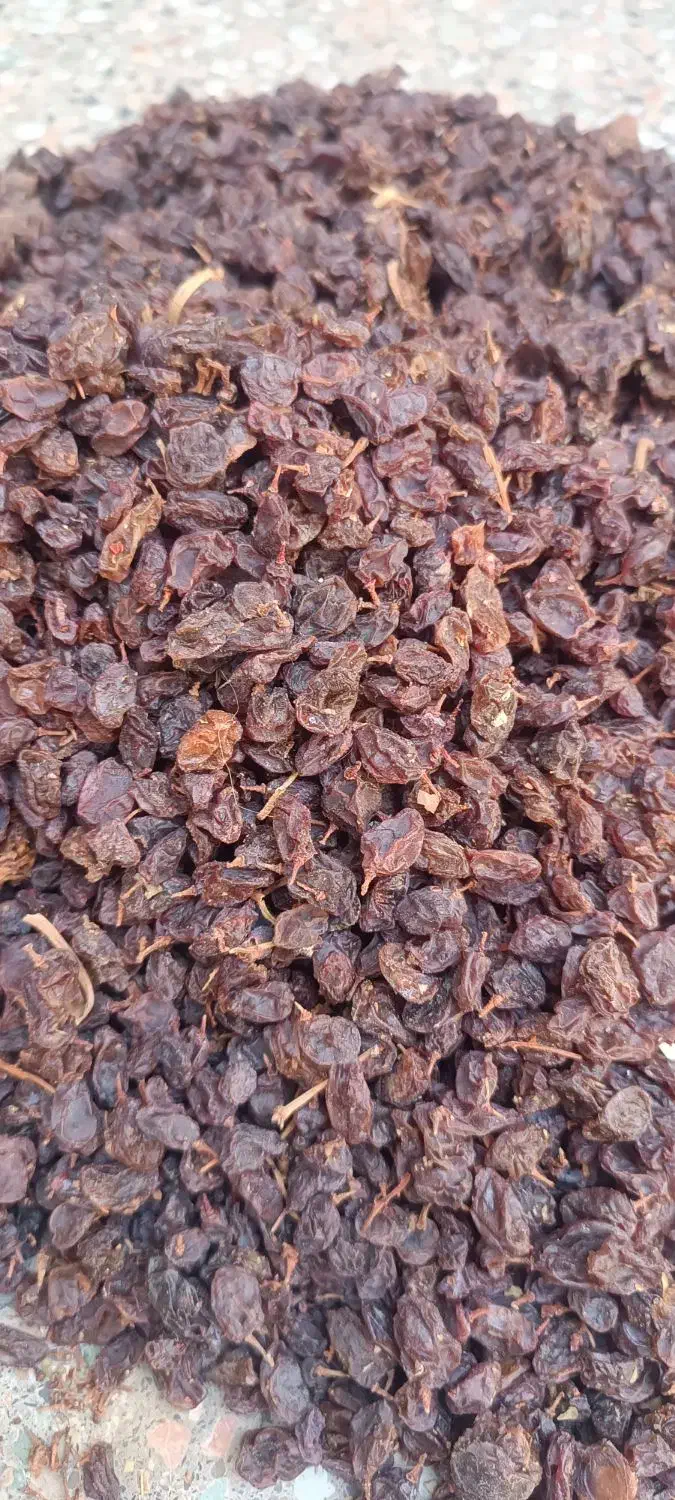 کشمش مویز انجیر ضایعات|خوردنی و آشامیدنی|مرودشت, فاز دوم شهرک فرهنگیان|دیوار