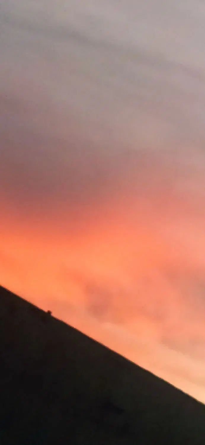 راننده نیسان برای پخش مواد غذایی|استخدام حمل و نقل|ارومیه, |دیوار