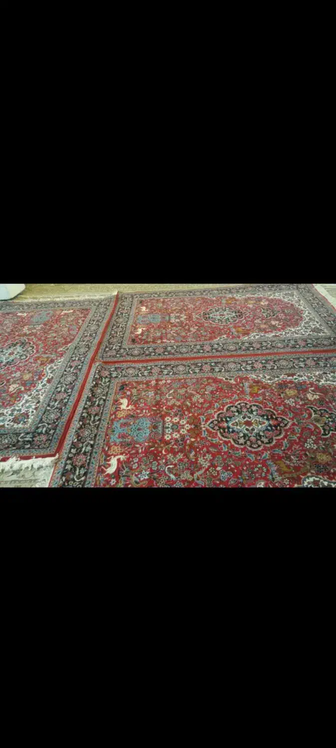 فرش  سه عدد هستن|فرش|کرمانشاه, |دیوار