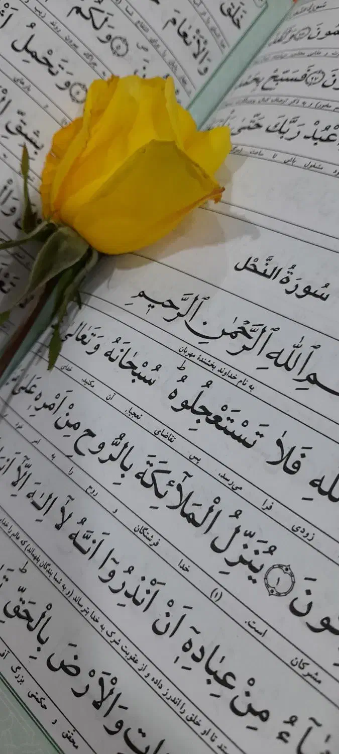 ختم قرآن کریم|کتاب و مجله مذهبی|مراغه, |دیوار