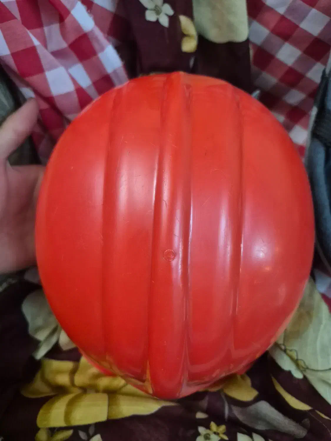 کلاه ایمنی کارگر و اسب سواری|اسب و تجهیزات اسبسواری|تبریز, |دیوار