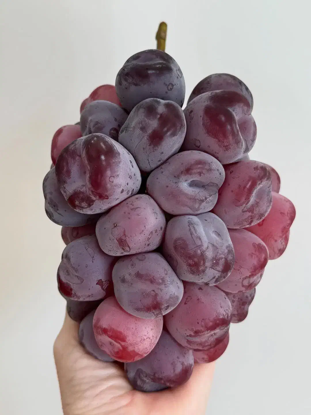 نهالستان مهندس آرمان|خدمات باغبانی و درختکاری|تهران, شهرک چیتگر|دیوار