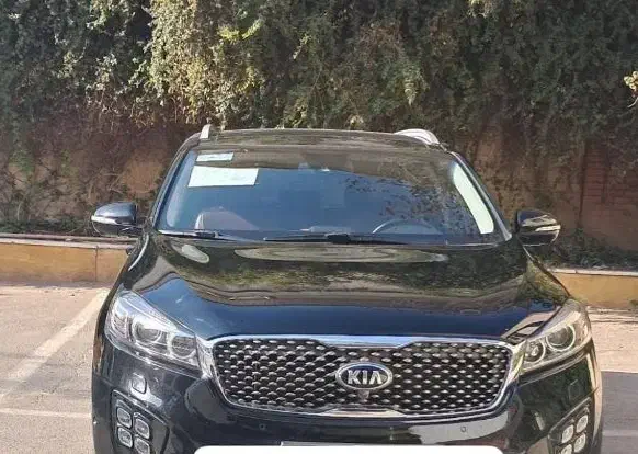 همکاری و راهنمایی|فعالیت داوطلبانه|کرمان, |دیوار