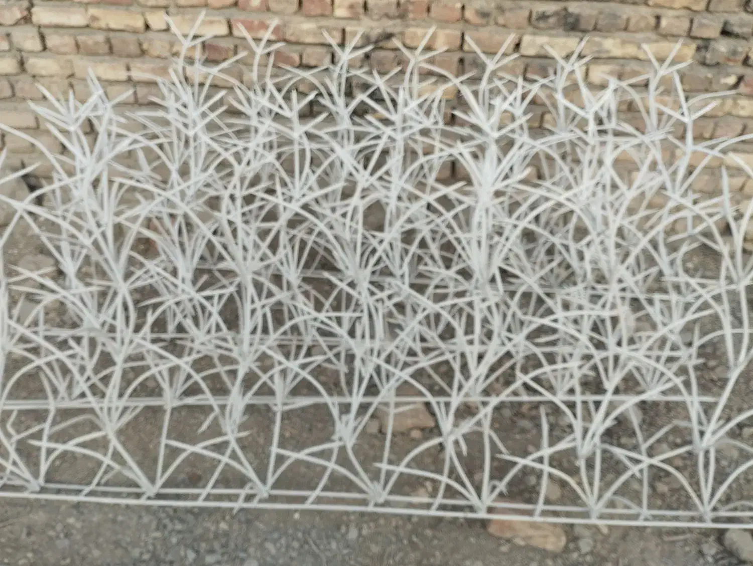 فروش حفاظ شاخ گوزنی|خدمات پیشه و مهارت|زابل, |دیوار