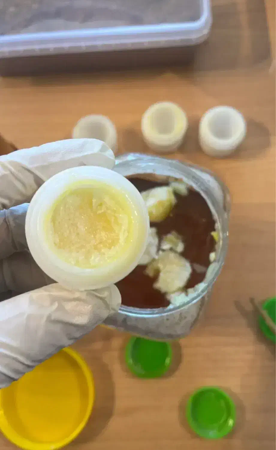 معجون جنسینگ تقویت جن۳۰|خوردنی و آشامیدنی|اهواز, شهرک دانشگاه|دیوار