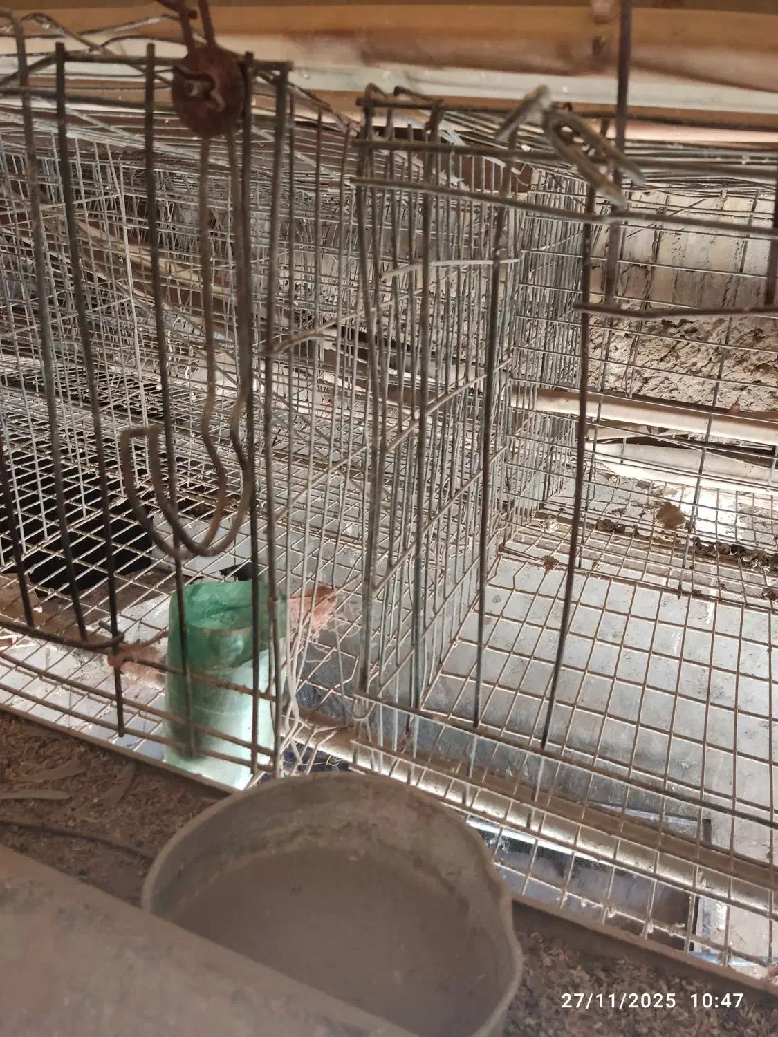 قفس مرغ تخمگذار منبری|لوازم جانبی حیوانات|تفت, |دیوار